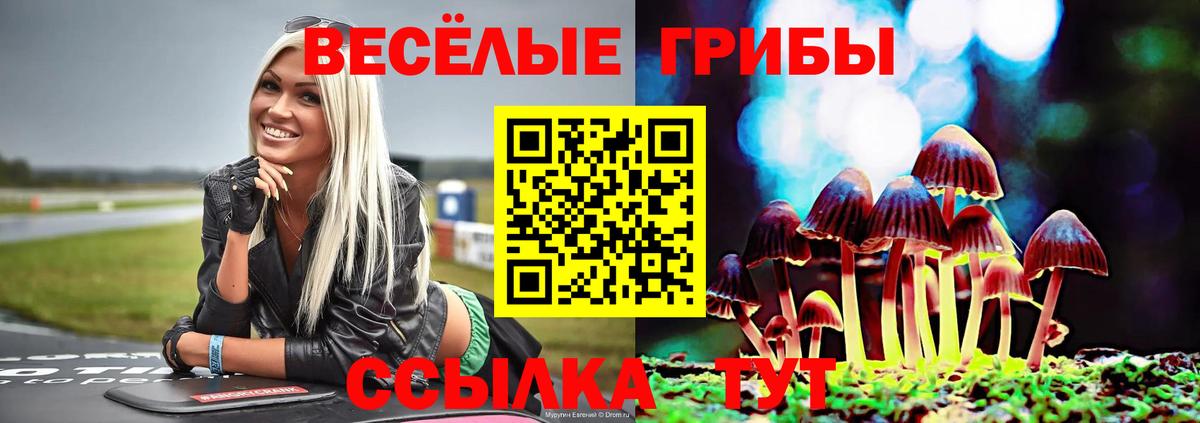 Галлюциногенные грибы ЛСД Коркино